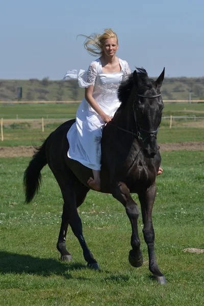Bride ridding a horse. — Stock Photo, Image