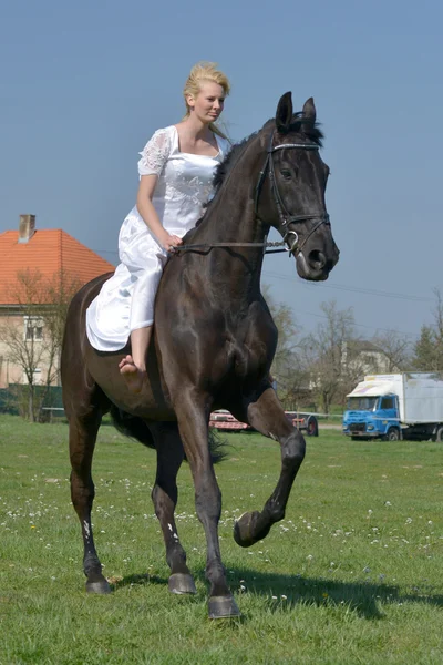 Braut reitet ein Pferd. — Stockfoto