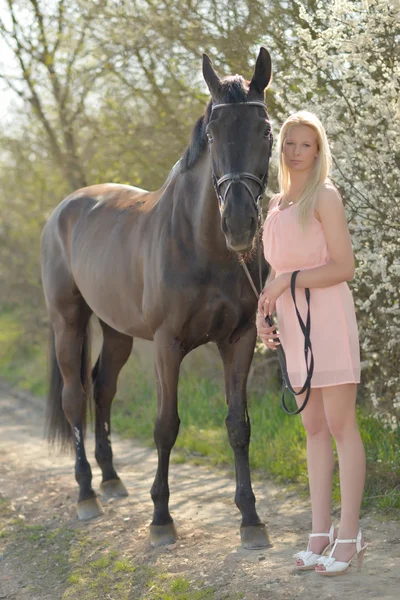 Dark horse and woman — Stock Photo, Image