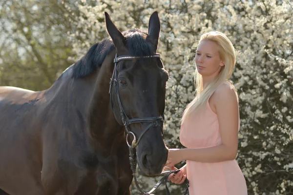 Dark horse and woman — Stock Photo, Image