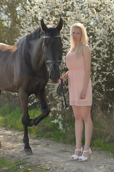 Dark horse and woman — Stock Photo, Image