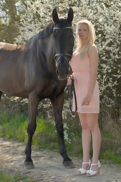 Dark horse och kvinna — Stockfoto