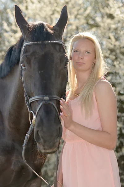 Темный конь и женщина — стоковое фото