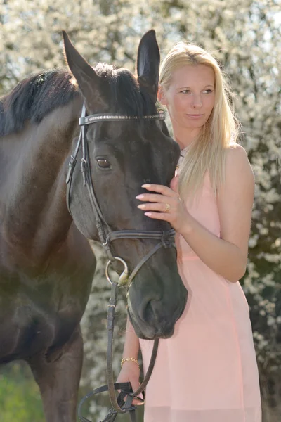 Темний кінь і жінка — стокове фото