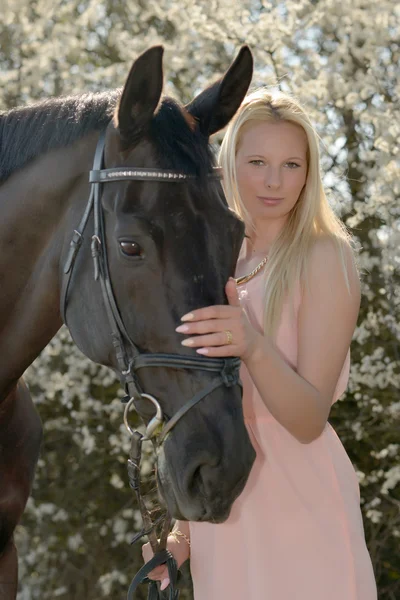 Cavalo escuro e mulher — Fotografia de Stock