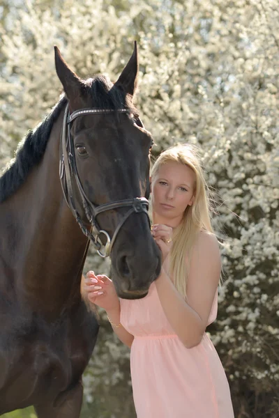 Cavalo escuro e mulher — Fotografia de Stock