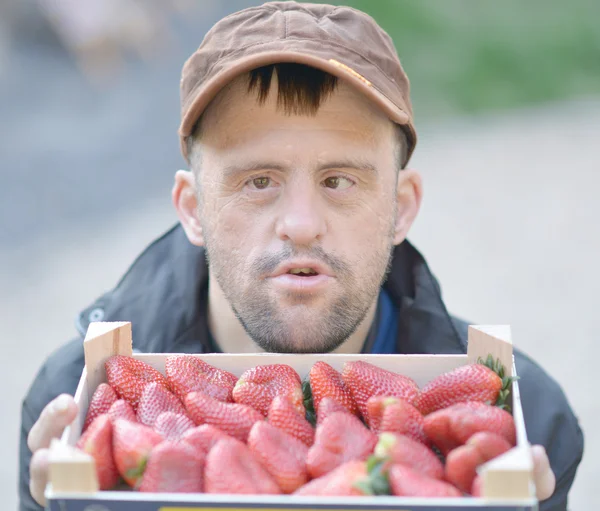 Man och jordgubbar — Stockfoto