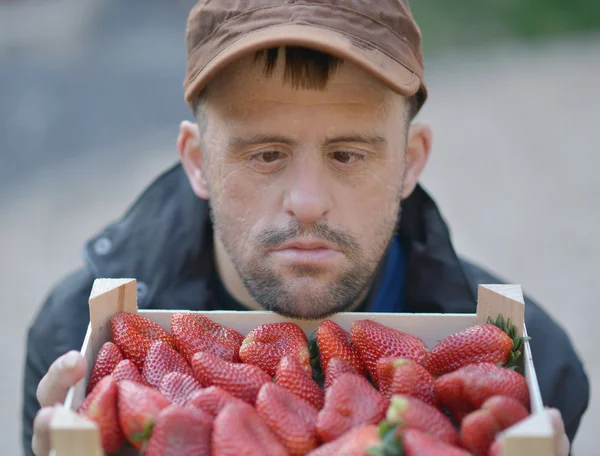 Uomo e fragole — Foto Stock