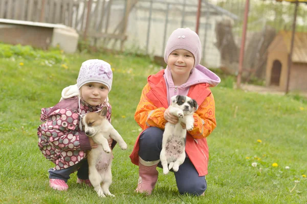Sisters playing with puppies — Stock Photo, Image
