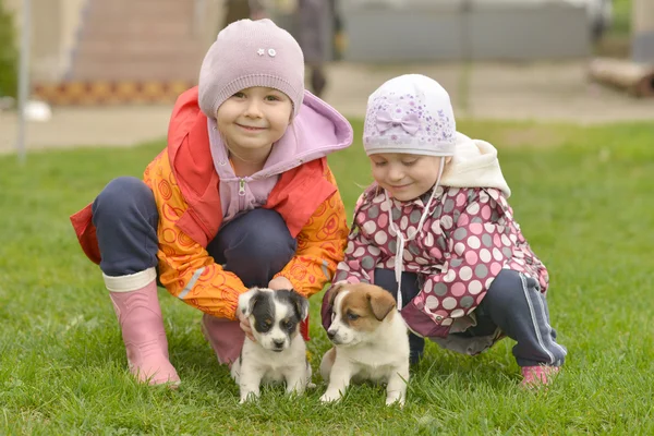 Zusters spelen met puppies — Stockfoto