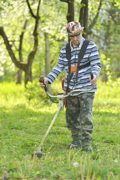 Hombre cortando hierba —  Fotos de Stock