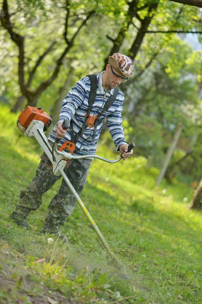 Adam kesme çim — Stok fotoğraf