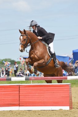 Show jumping rider