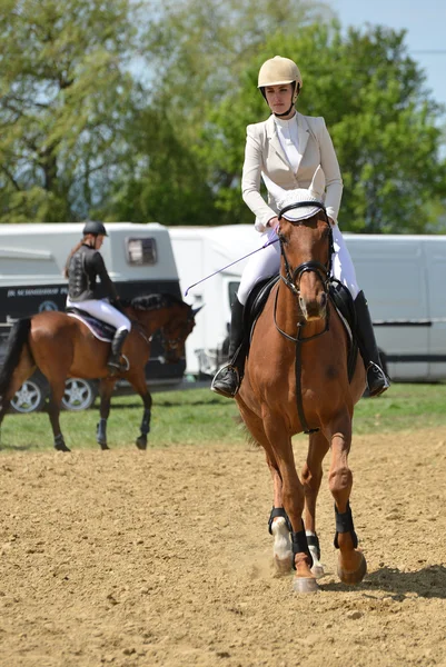 Cavalier de saut d'obstacles — Photo