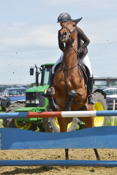 Hoppning rider — Stockfoto