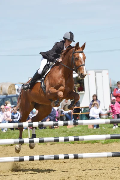 Cavalier de saut d'obstacles — Photo