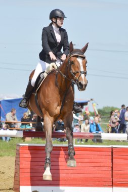 Show jumping rider