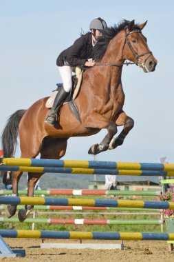 Show jumping rider