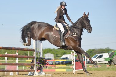 Show jumping rider