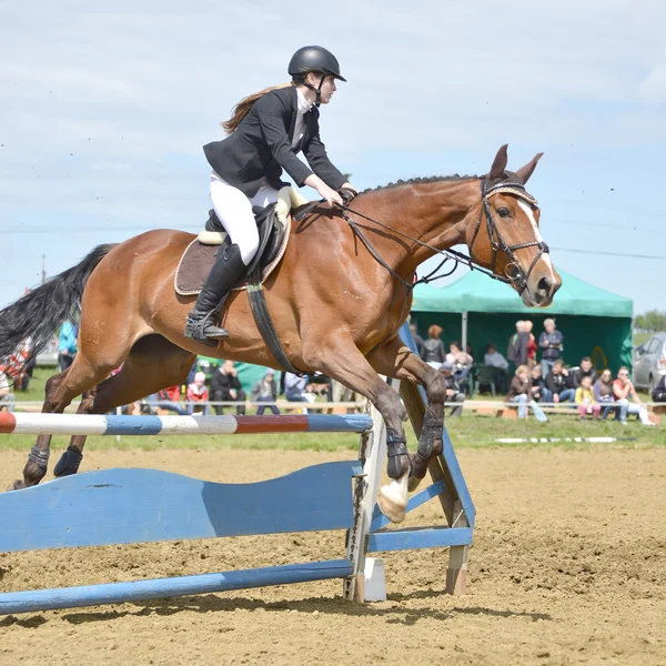 Cavalier de saut d'obstacles — Photo