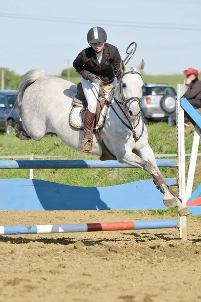 Mostra saltando cavaliere — Foto Stock