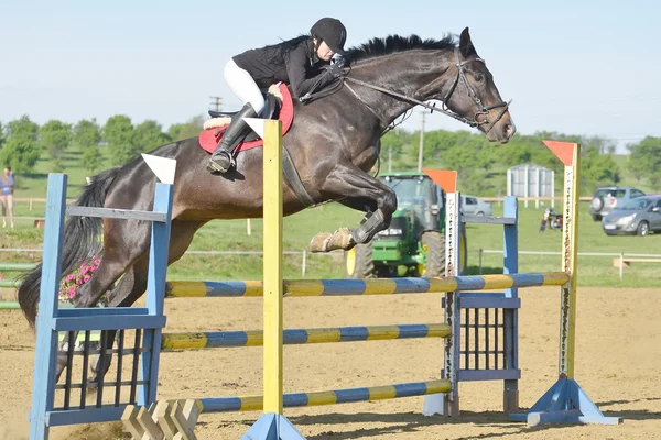 Mostrar jinete de salto — Foto de Stock