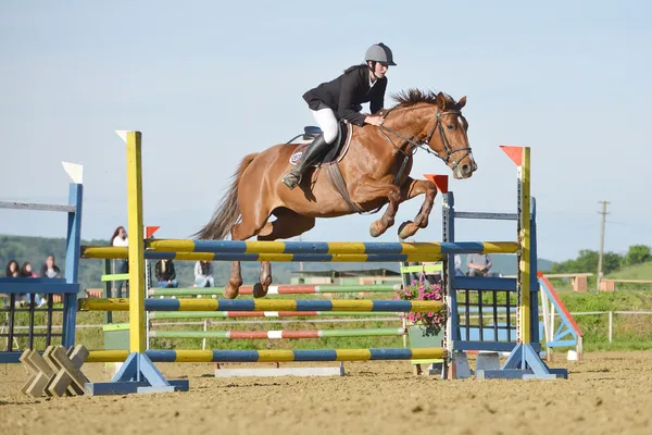 Cavalier de saut d'obstacles — Photo