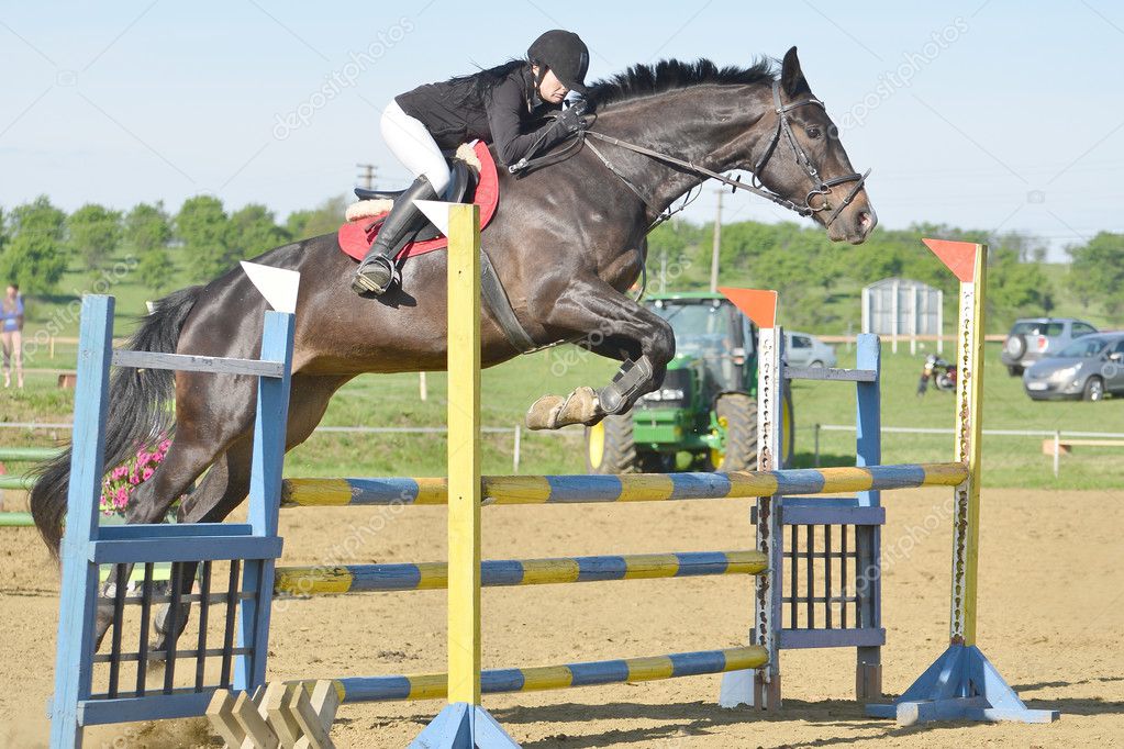 Show jumping rider Stock Photo by ©muro 45943851