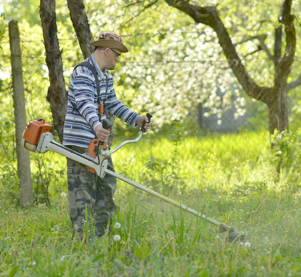 Man klippa gräs — Stockfoto