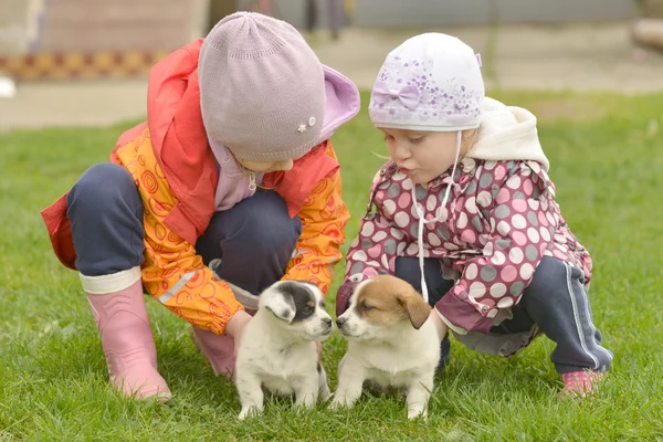 Sisters playing with puppies — Stock Photo, Image