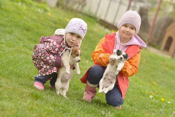 Sœurs jouant avec des chiots — Photo