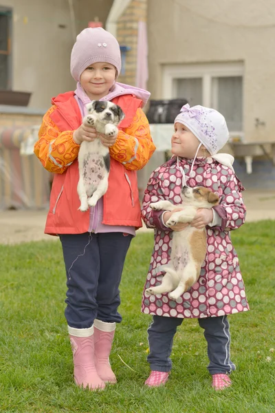 Sœurs jouant avec des chiots — Photo