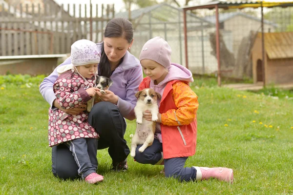 Two sisters and mother with puppies — Stock Photo, Image