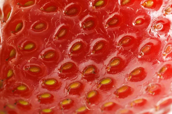 Fresa fresca — Foto de Stock
