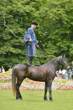 Macar hussar