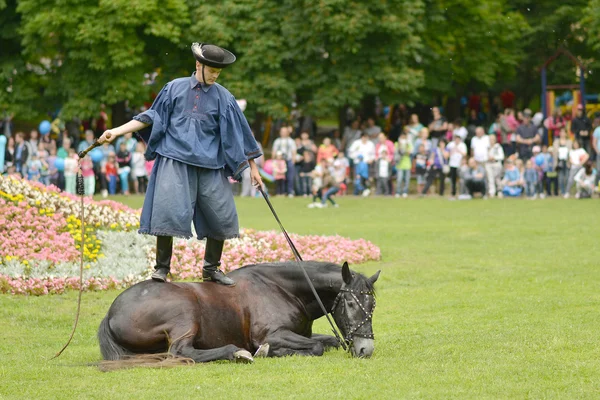 Hussar húngaro — Fotografia de Stock