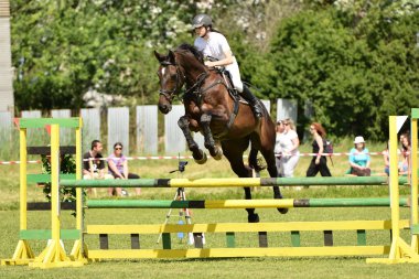 gösteri atlayarak at kadın