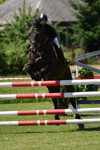 Femme au spectacle de saut d'obstacles — Photo