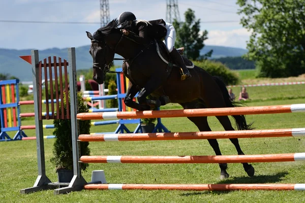 Frau beim Springreiten — Stockfoto