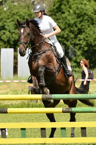 Femme au spectacle de saut d'obstacles — Photo