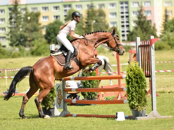 Woman at jumping show — Stock Photo, Image