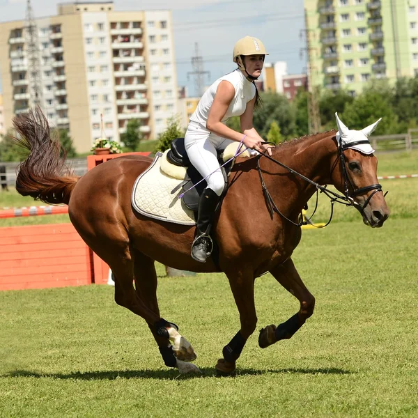 Femme au spectacle de saut d'obstacles — Photo