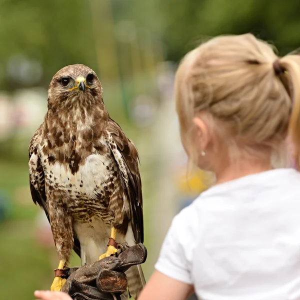 A girl and a hawk — Stock Photo, Image