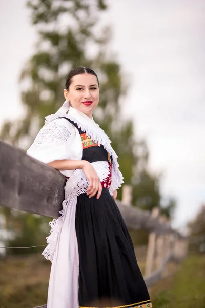 Folklore Eslovaco Chica Folklórica Eslovaca —  Fotos de Stock