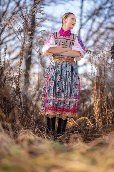 Beautiful Woman Slovak Folklore Dress — Stock Photo, Image