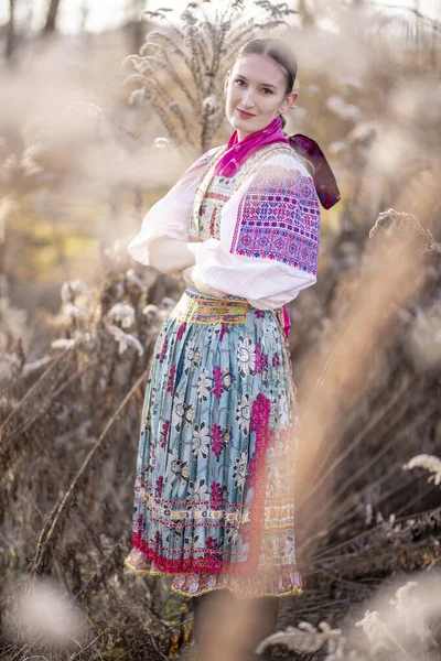 Krásná Žena Slovenských Folklorních Šatech — Stock fotografie