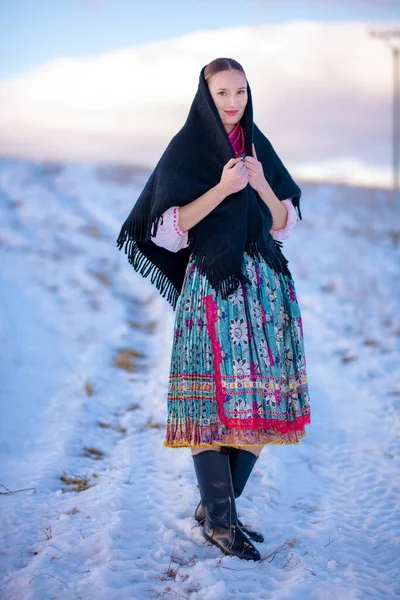 Slovak Folklor Elbiseli Güzel Bir Kadın — Stok fotoğraf