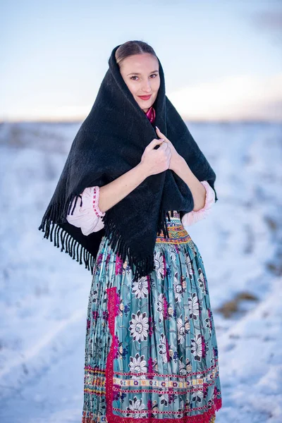 Slovak Folklor Elbiseli Güzel Bir Kadın — Stok fotoğraf