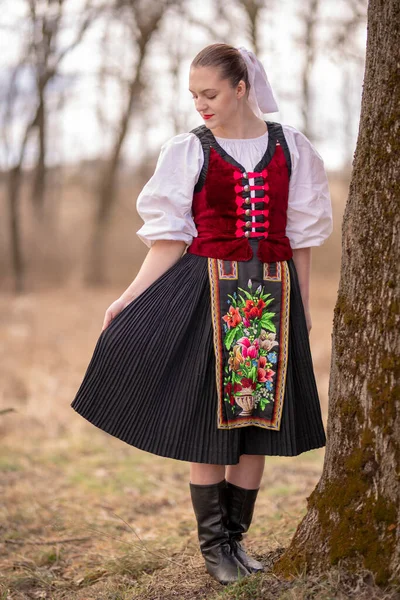 Slovak Folkloru Slovak Halk Kızı — Stok fotoğraf