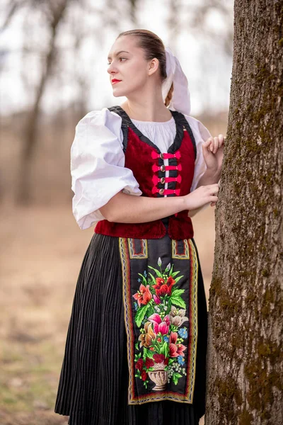 Szlovák Folklór Szlovák Népi Lány — Stock Fotó